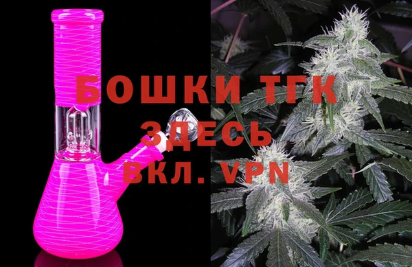 стафф Богданович