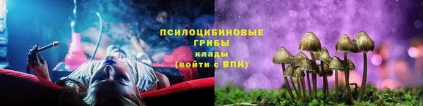 твердый Медвежьегорск