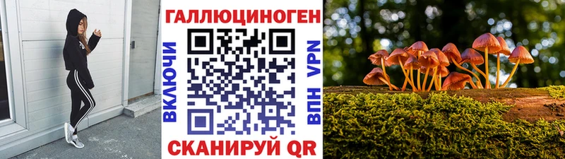 Псилоцибиновые грибы Psilocybine cubensis  купить   мега ссылки  Борисоглебск 